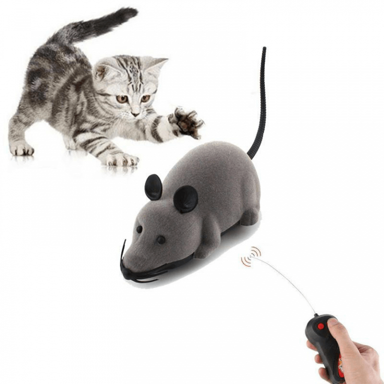 Кот с радиоуправляемой мышкой-игрушкой