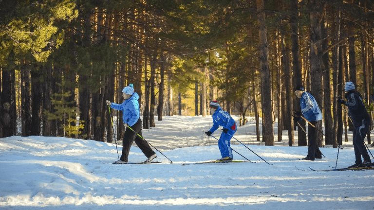 Дети и взрослые катаются на лыжах
