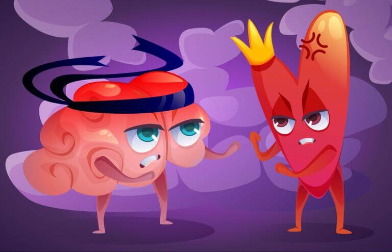 Сердце и мозг ожесточённо спорят