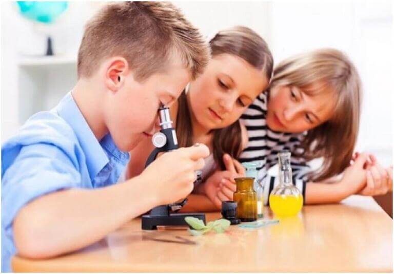 Дети занимаются с микроскопом
